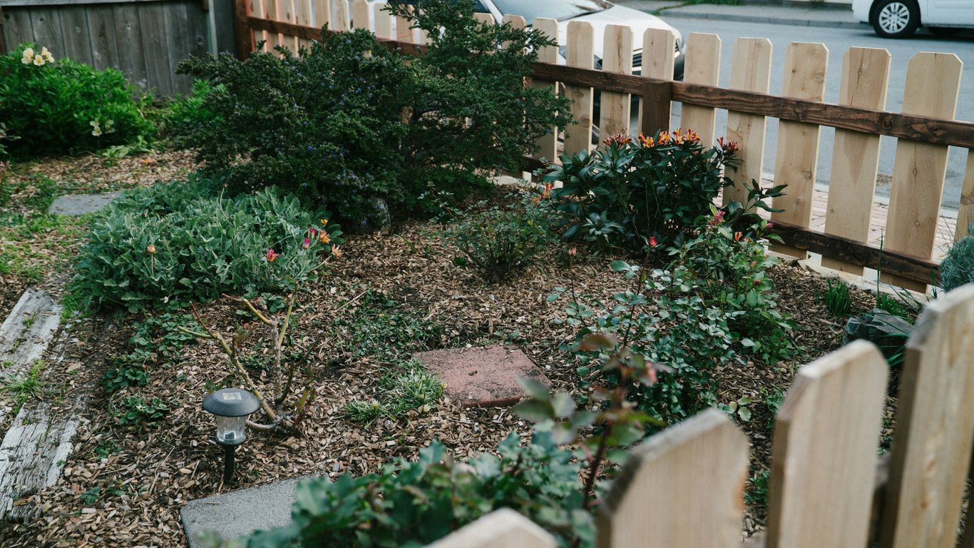 A small garden with a wooden fence and plants.