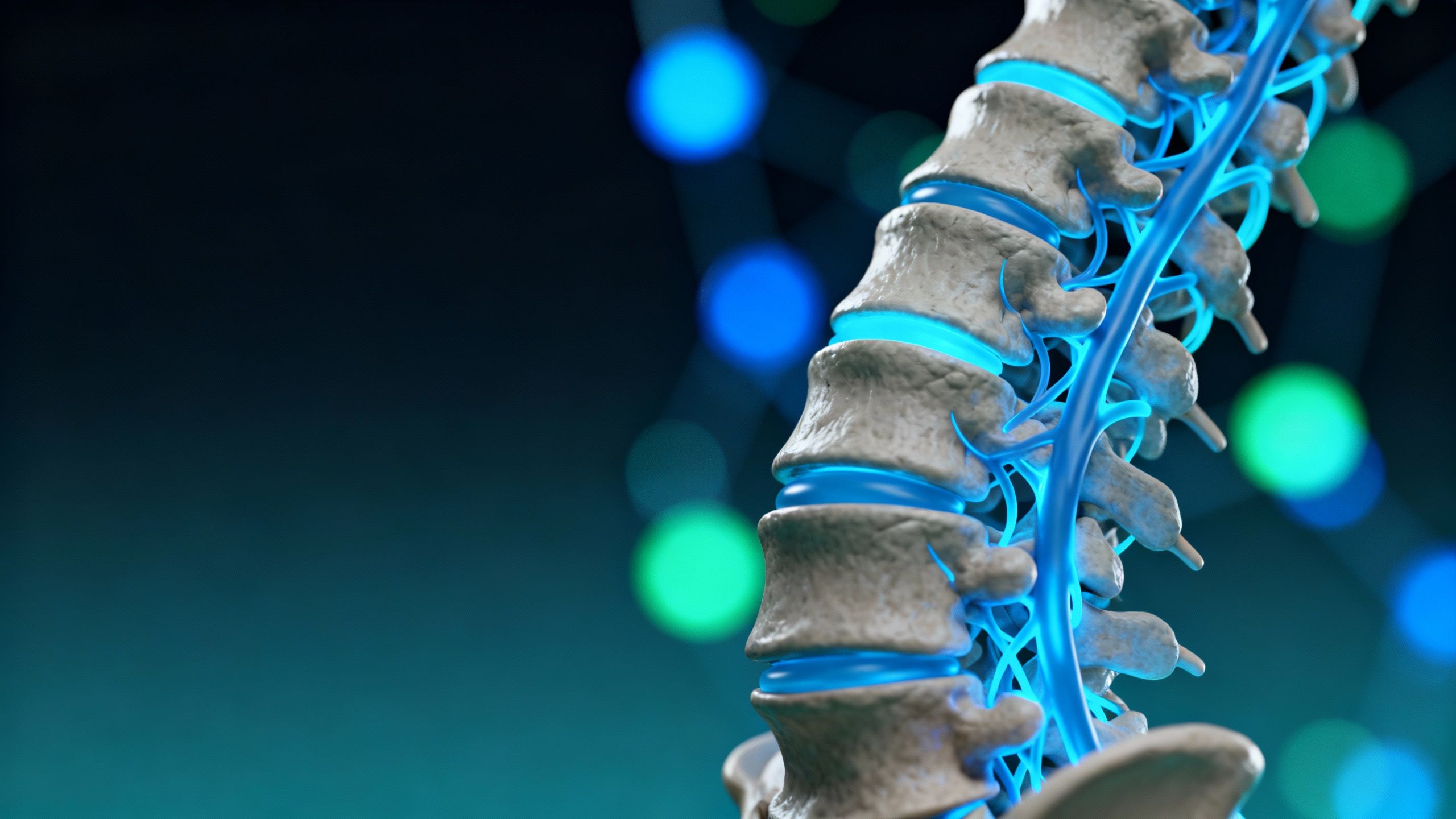 Detailed human spinal cord model with glowing neural pathways.
