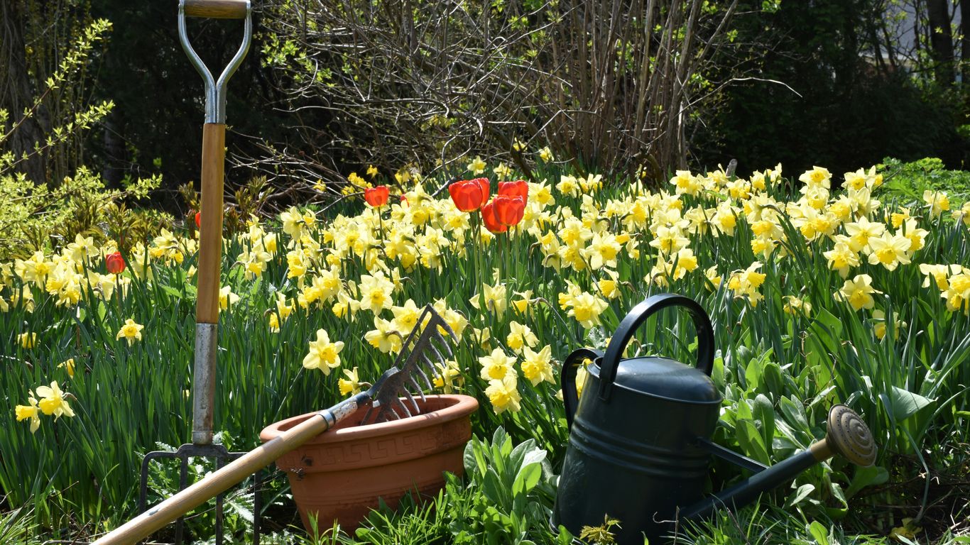 a garden filled with lots of yellow flowers
