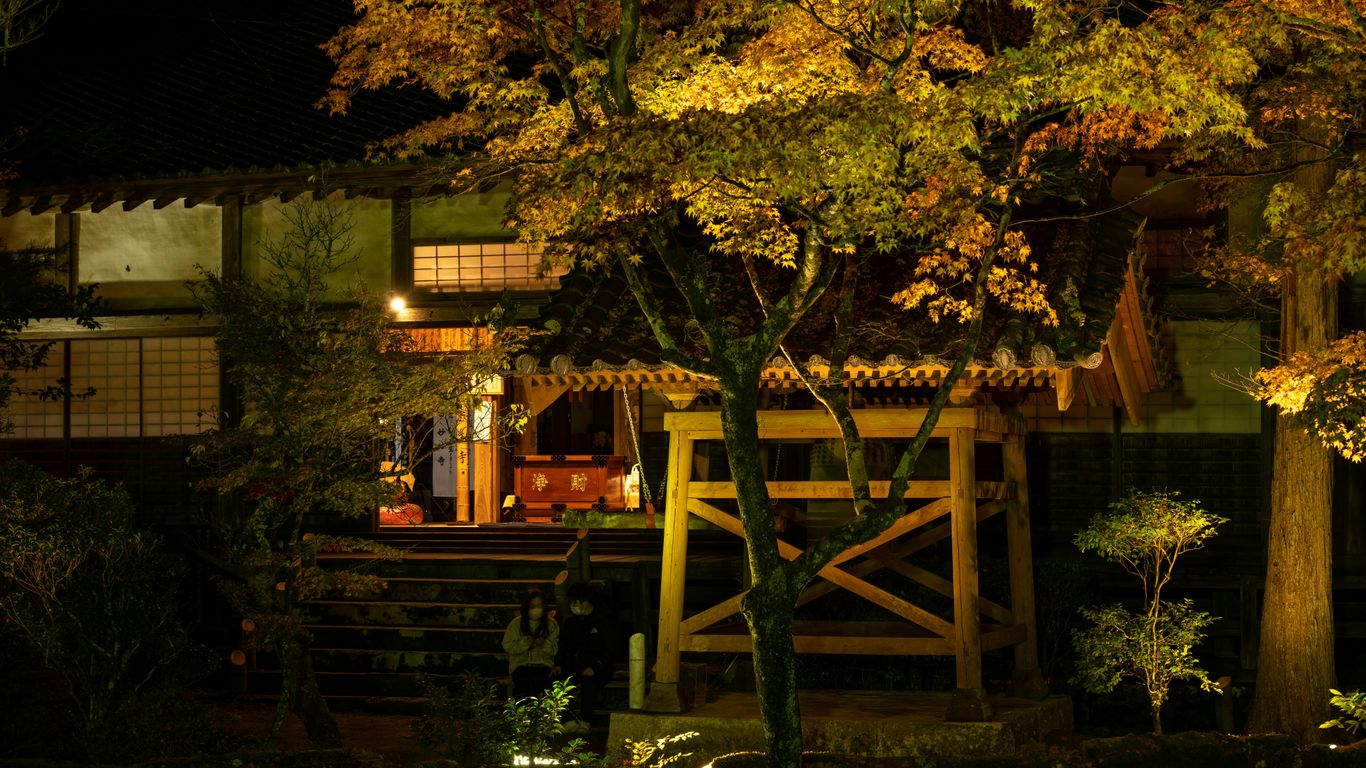 a house with trees and stairs