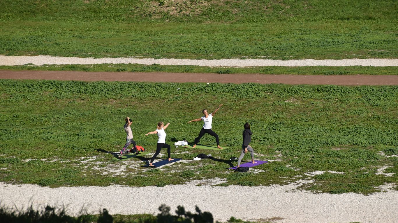 people on green grass field during daytime