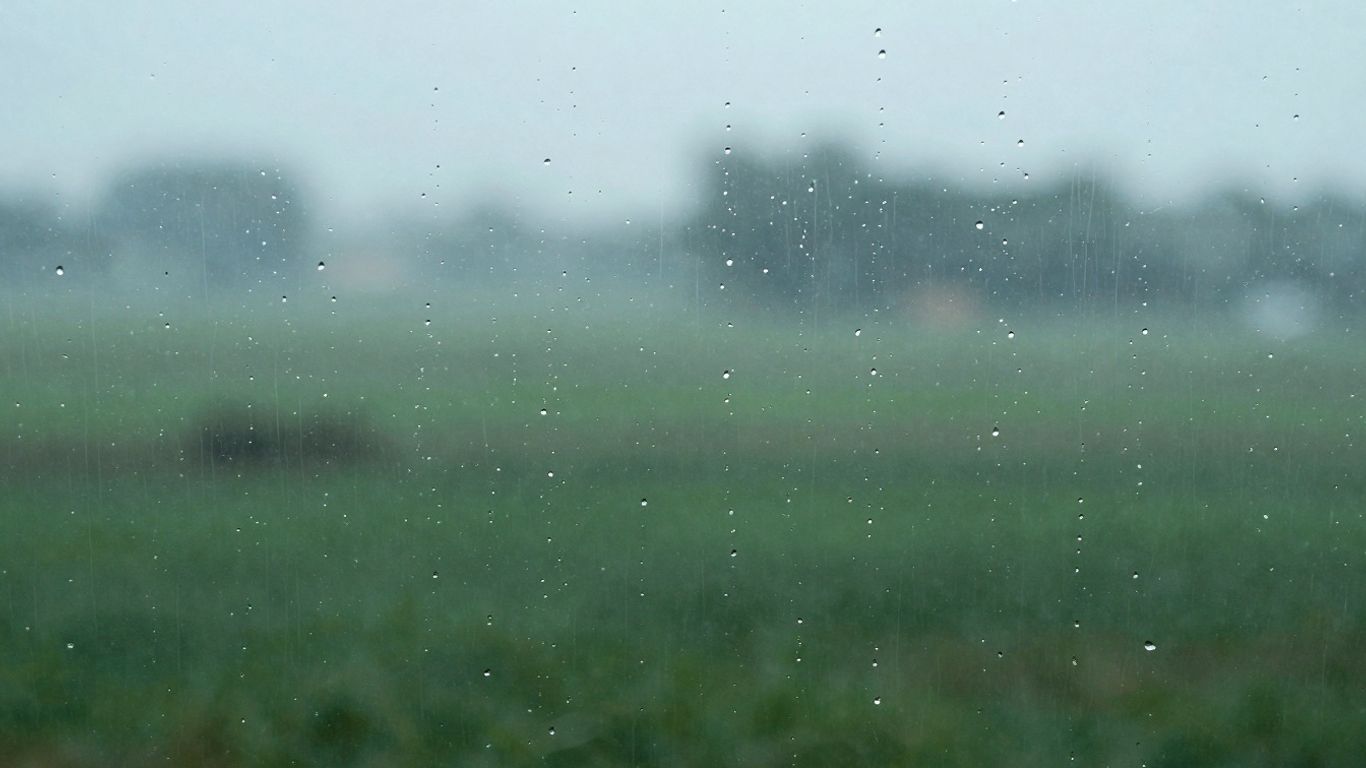 Window with raindrops, peaceful rainy day scene.