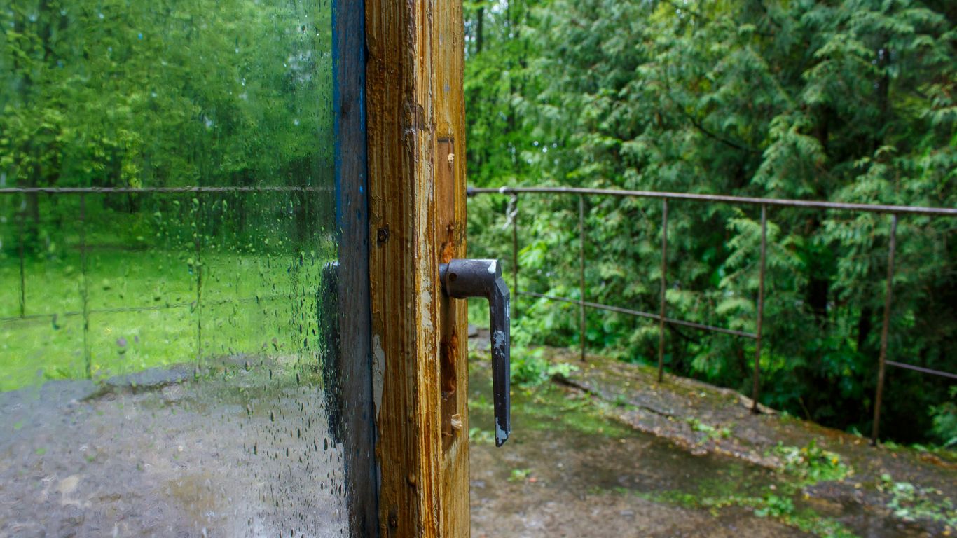 a door handle on a wooden door in a wooded area