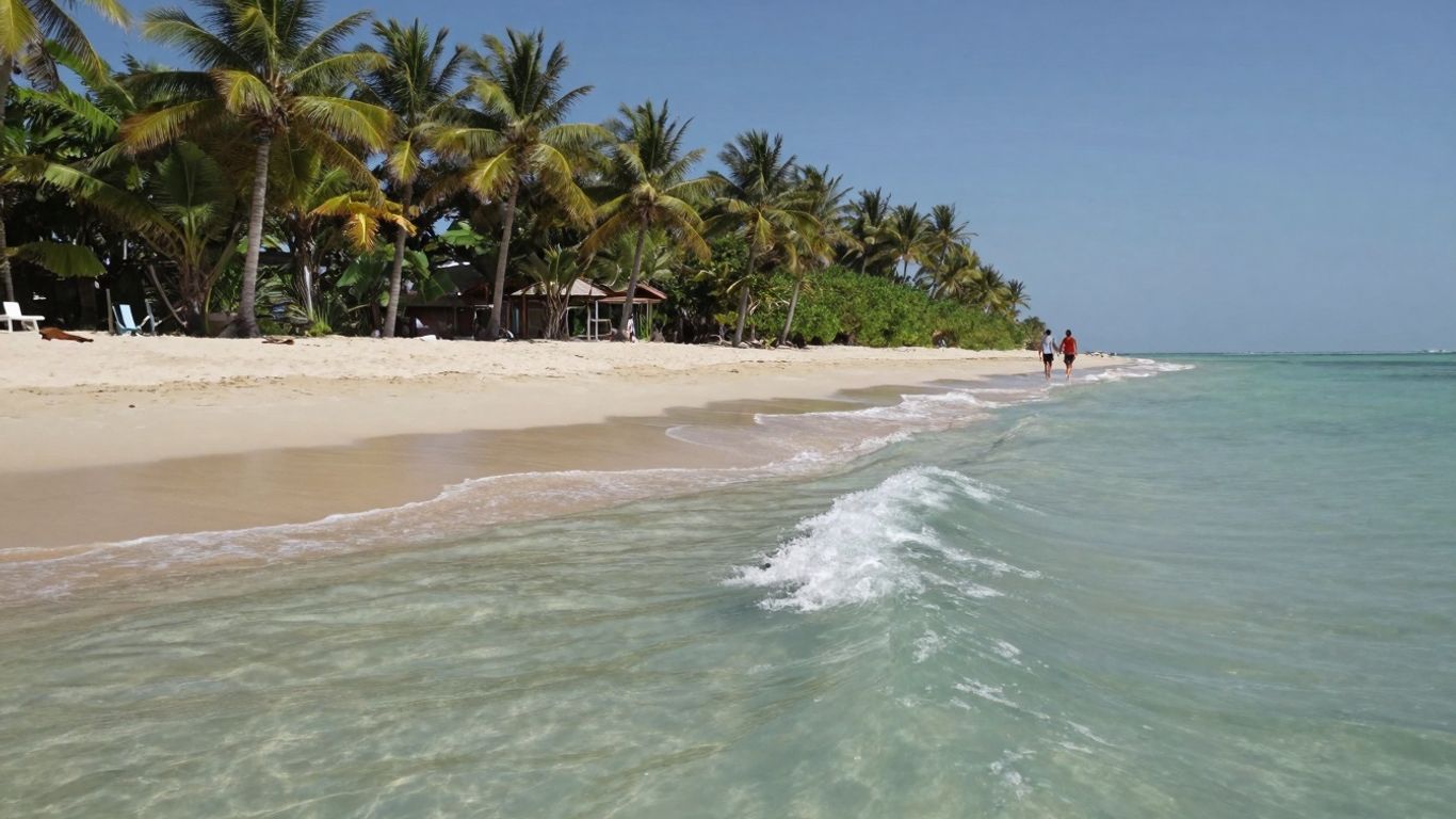 Plaża z palmami i turkusową wodą.