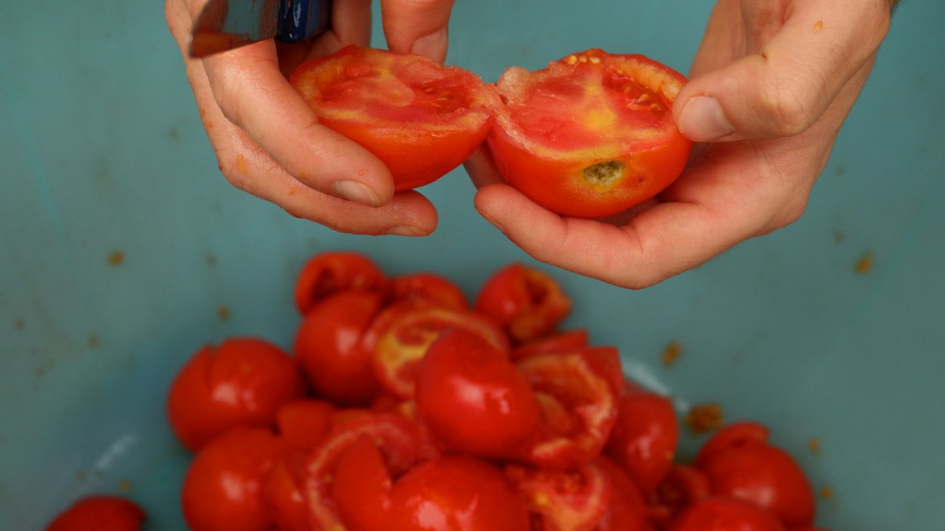 A person is peeling a tomato into small pieces