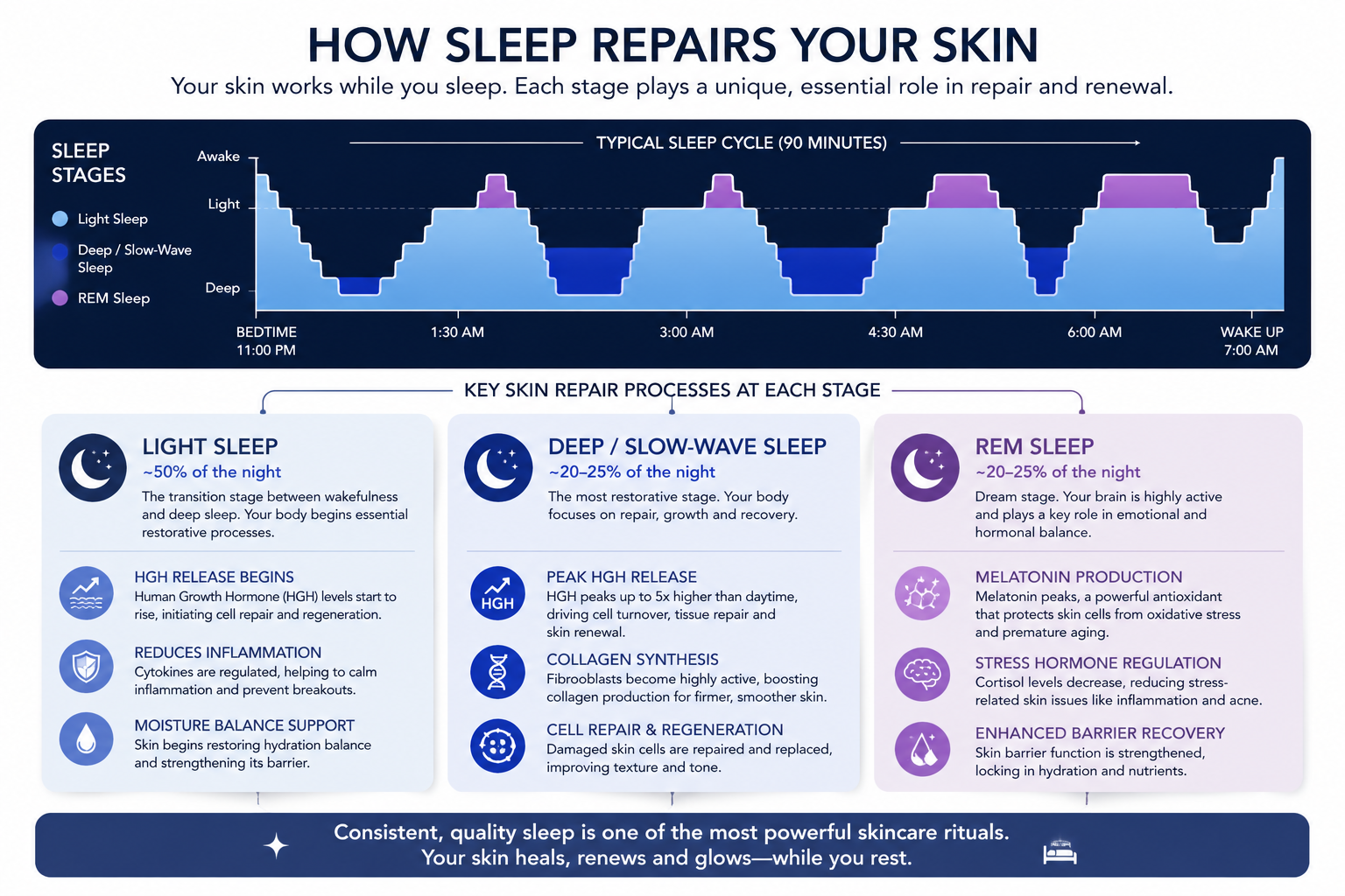 A diagram illustrating the stages of sleep (Light, Deep/Slow-Wave, REM) on a timeline, with callouts showing key skin repair processes like HGH release, collagen synthesis, and melatonin production at each stage.