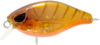Hurricane Lures