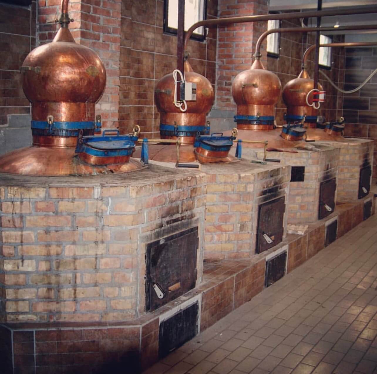 rakija-vs-grappa-vs-obstbrand-rakija-vino-wien