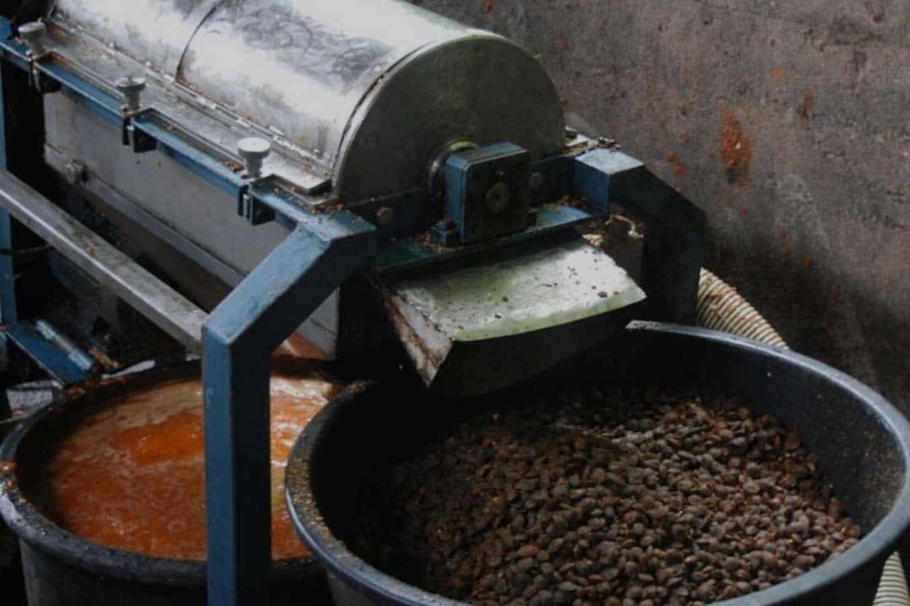 rakija-vs-grappa-vs-obstbrand-rakija-vino-wien