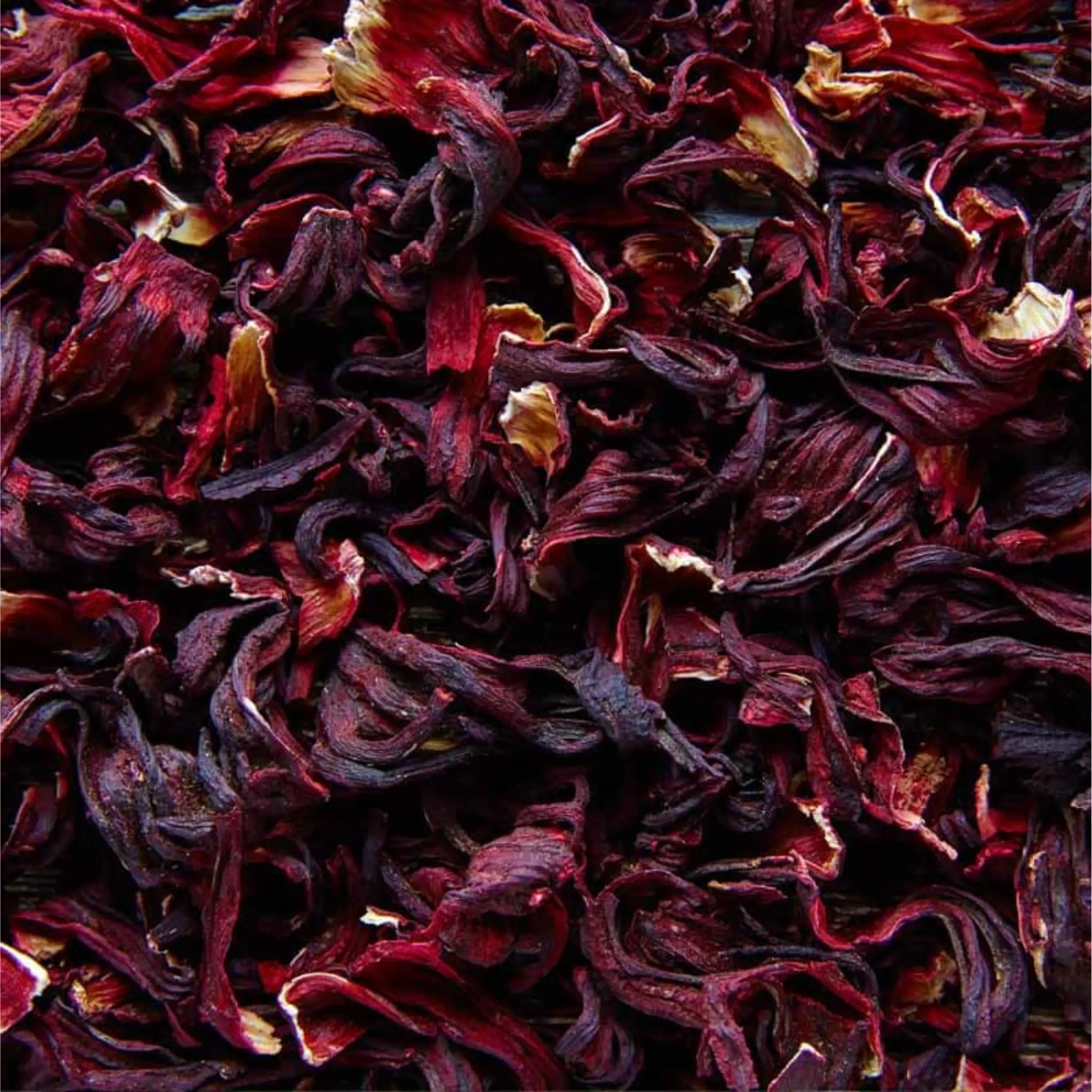 Primer plano de flores de hibisco rojo secas.