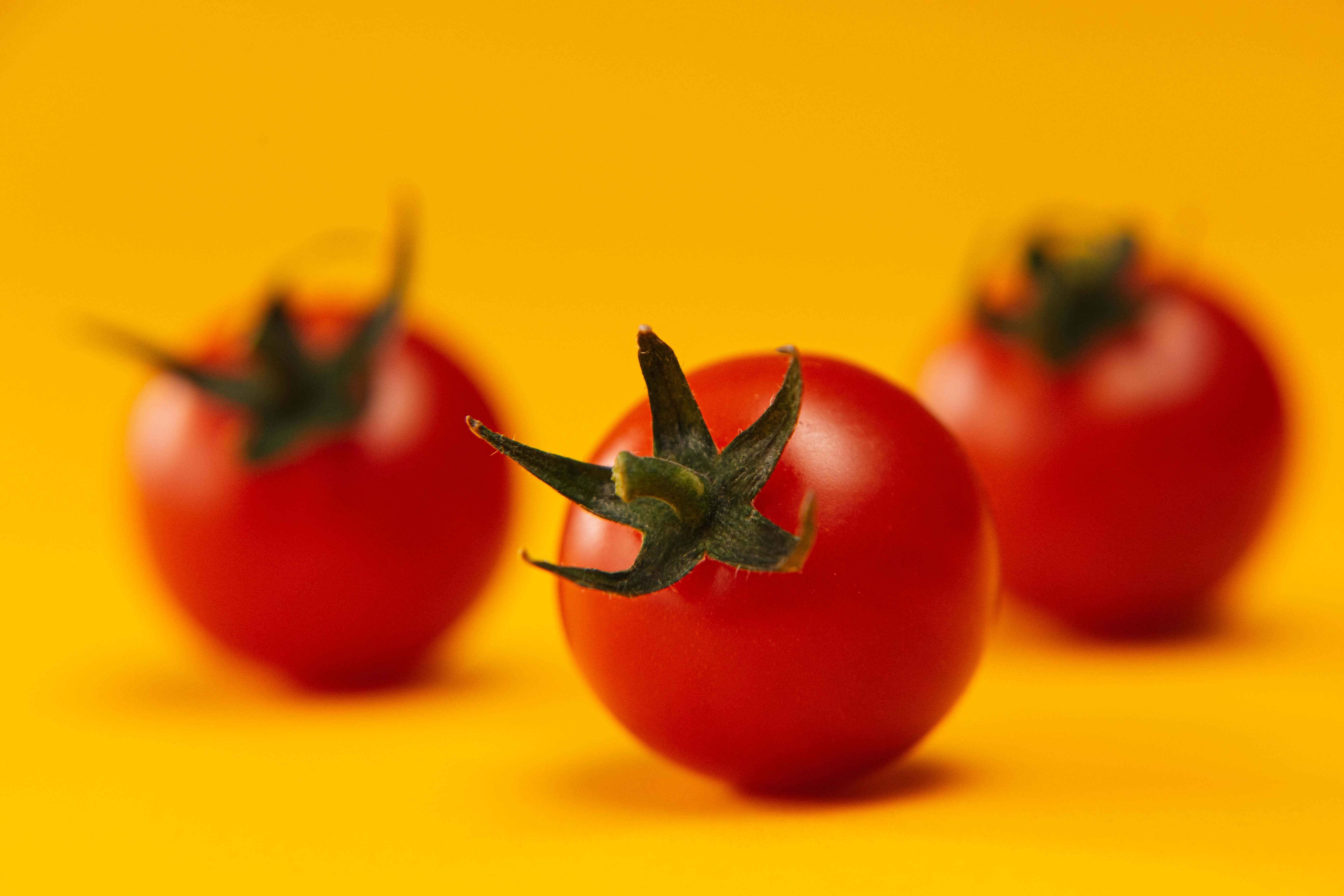 Three red tomatoes on a bright yellow background, close-up.