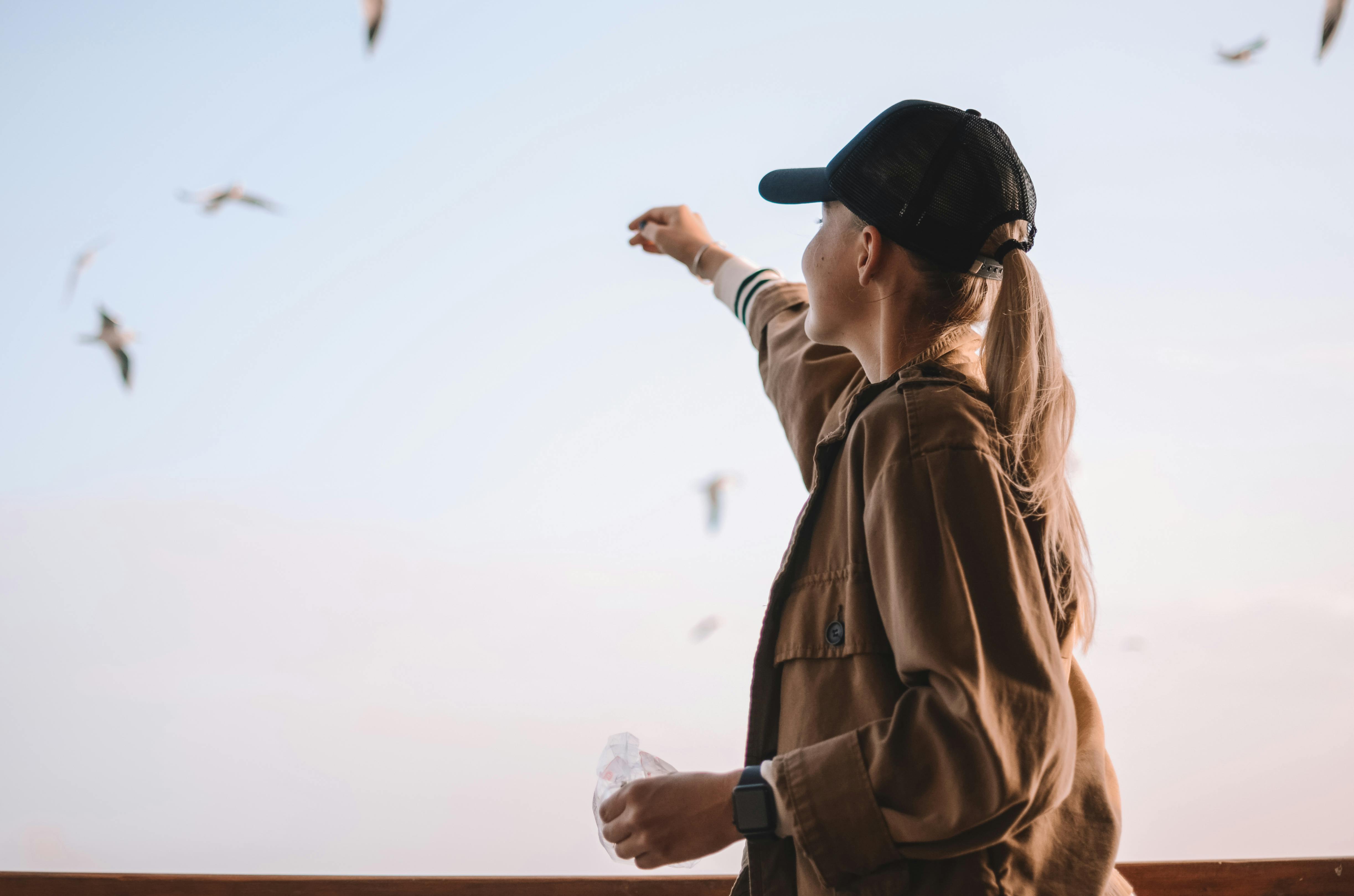 Person feeding seagulls on a bright, hazy day.