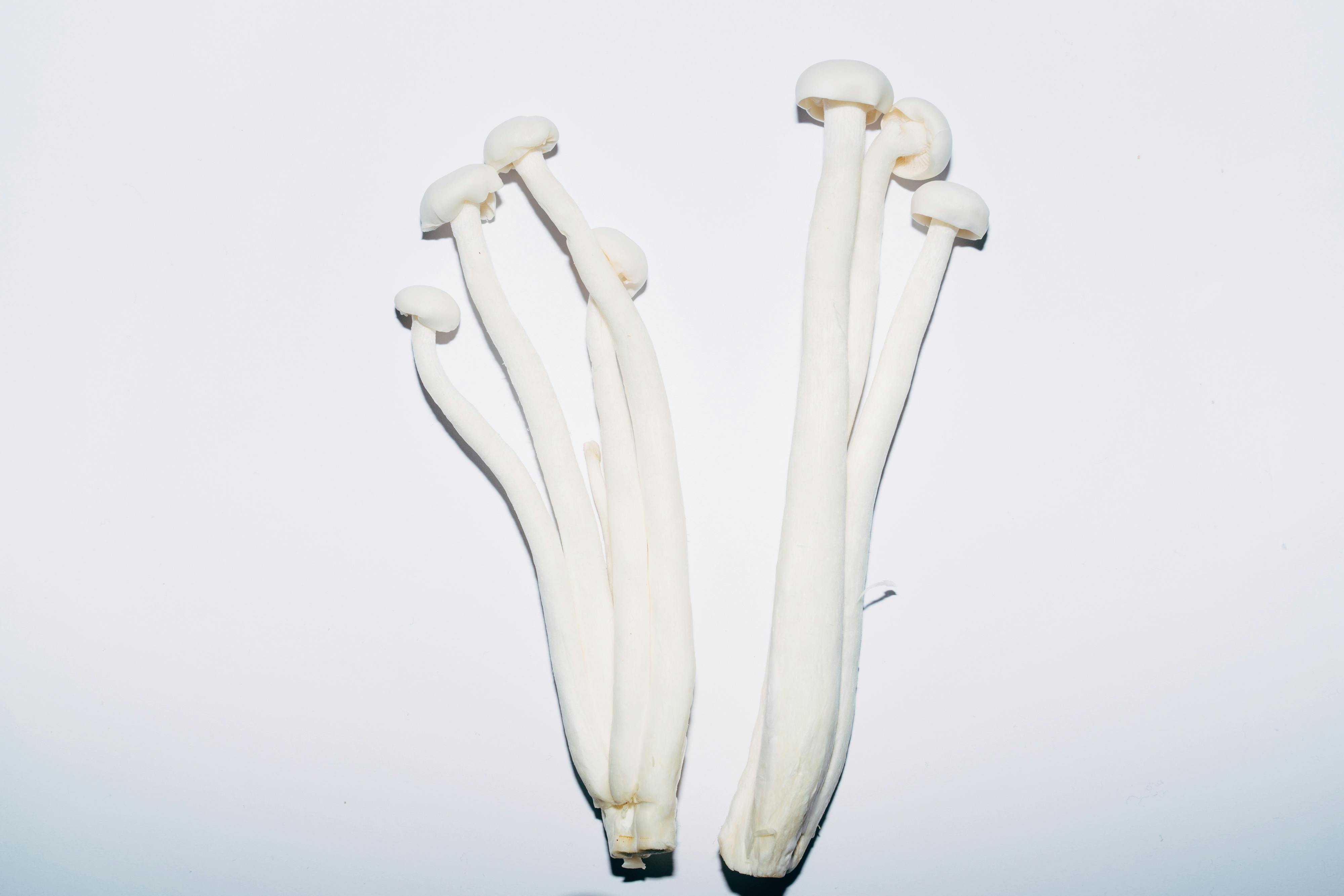 Several long, white mushrooms on a plain white background.