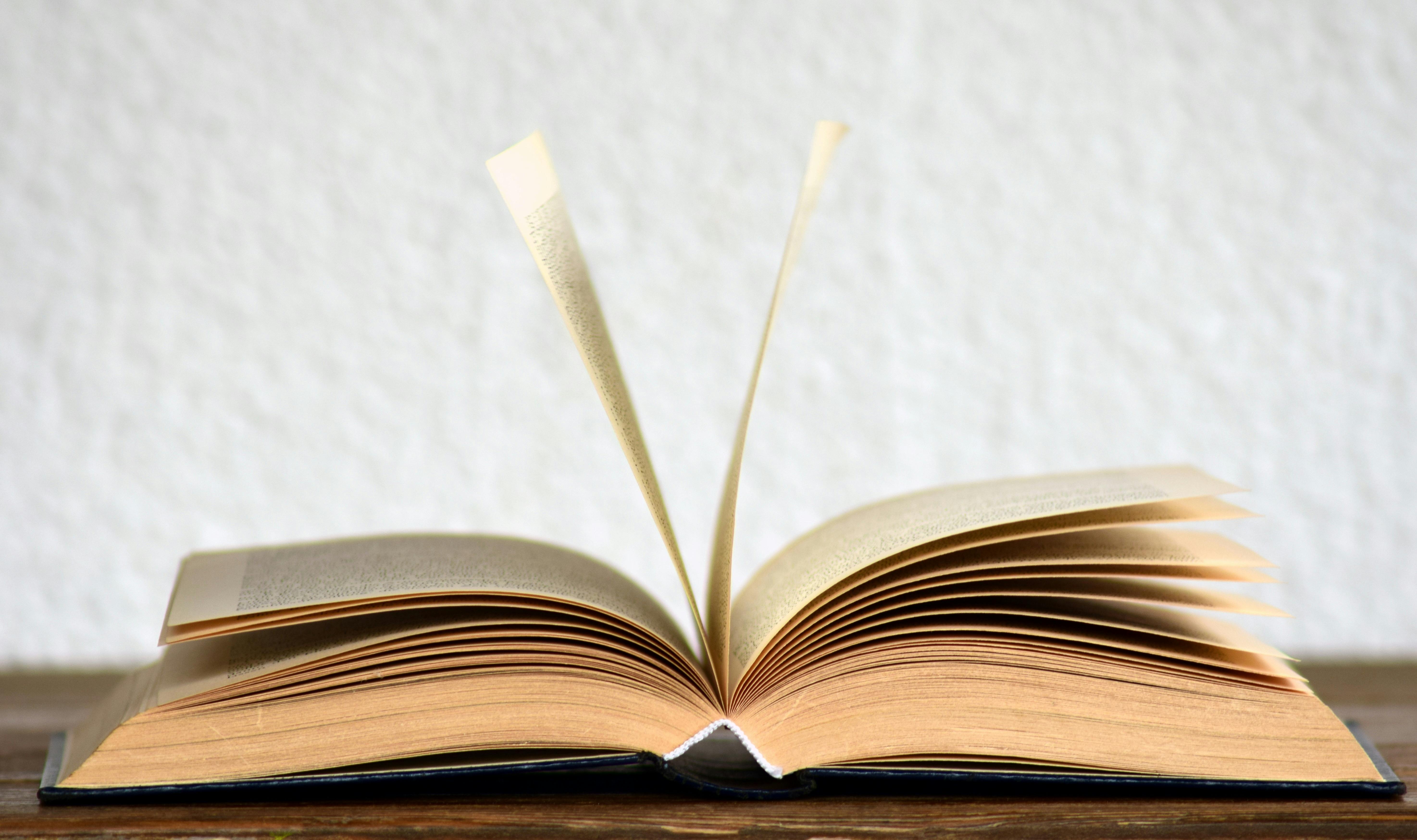 An open book with pages fanning out against a white background.