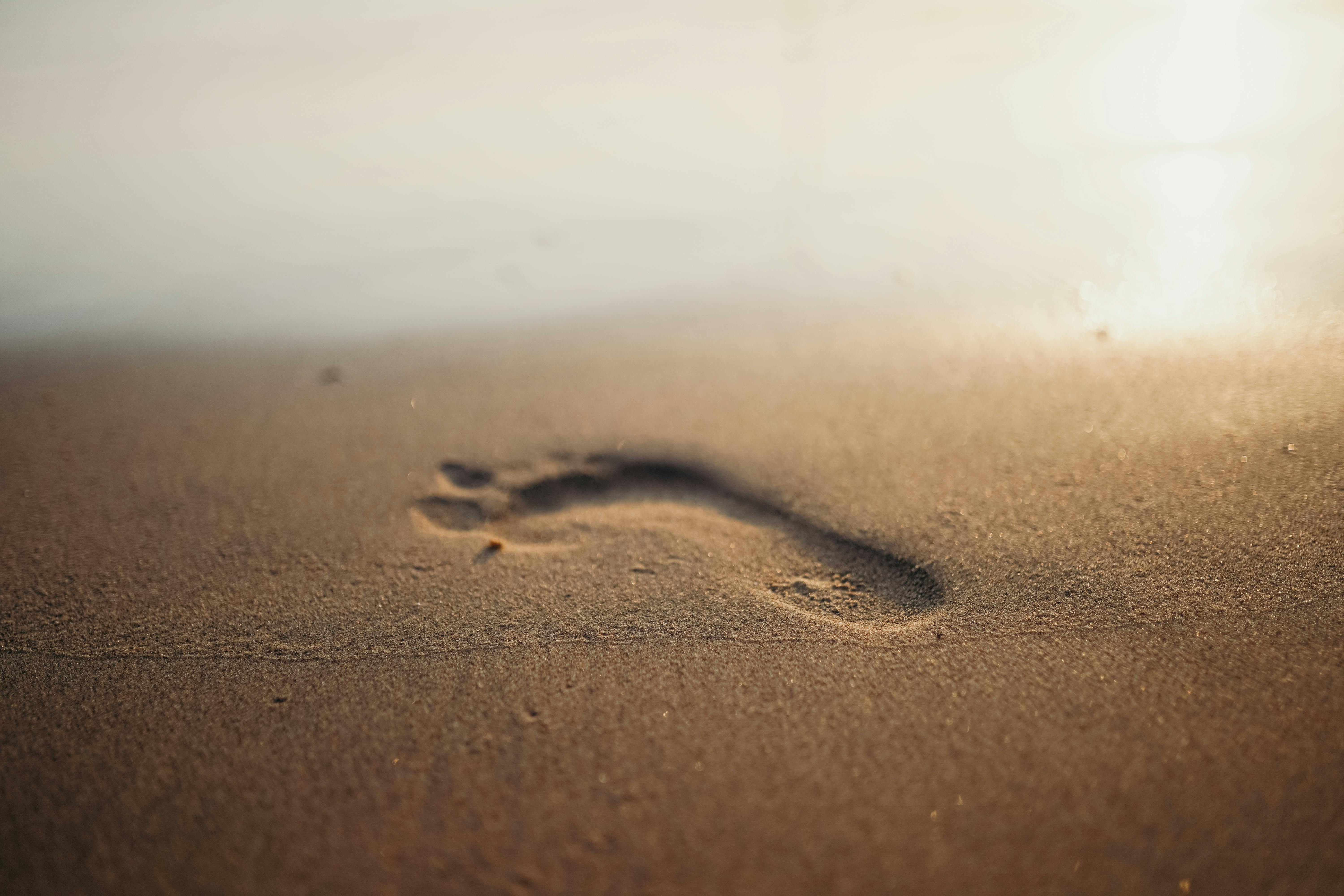 A single footprint in wet sand near the water's edge.