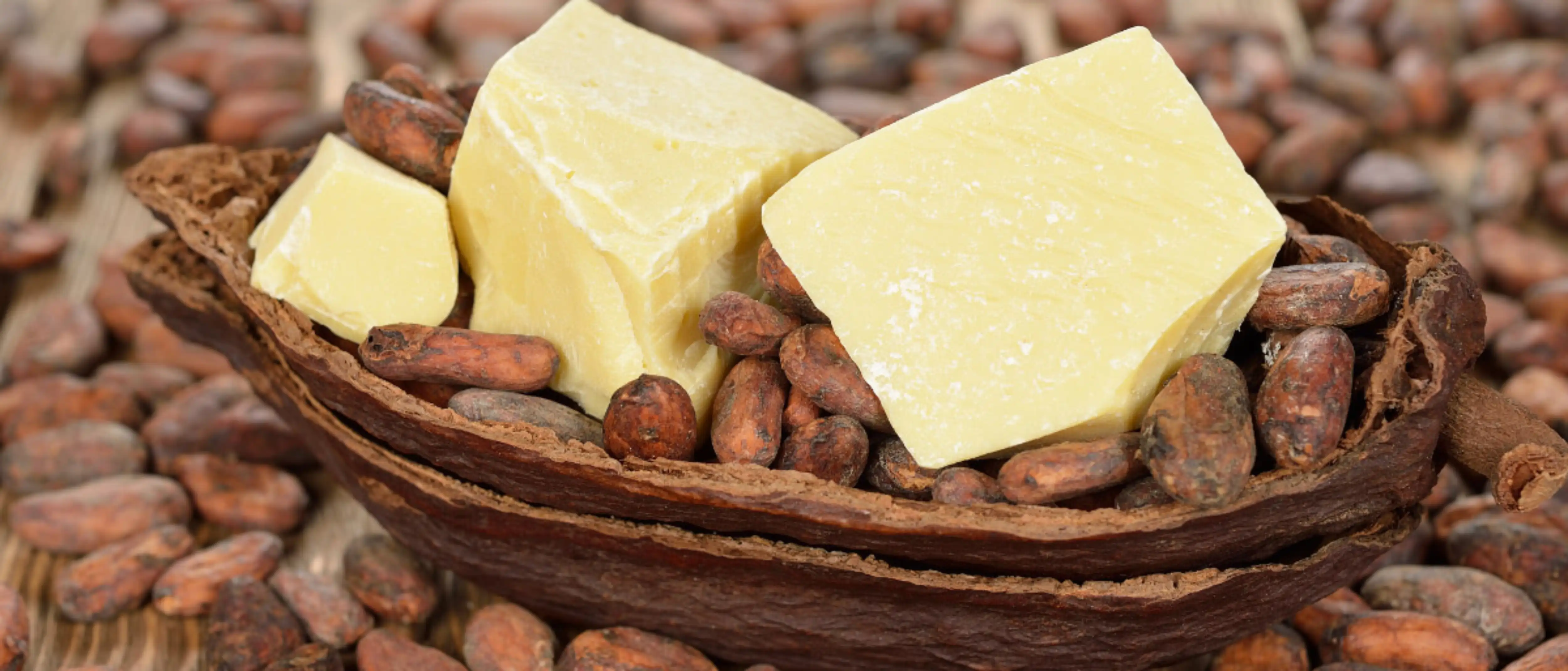 Cocoa butter with cocoa beans around it