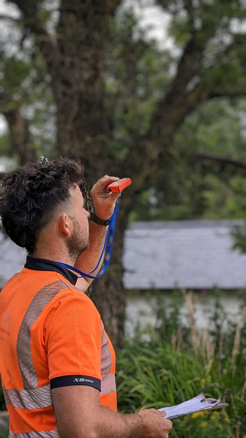 Tree surgeon assessing a tree in a green environment.